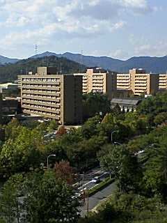 20080206103217-071020-1408-01.jpg